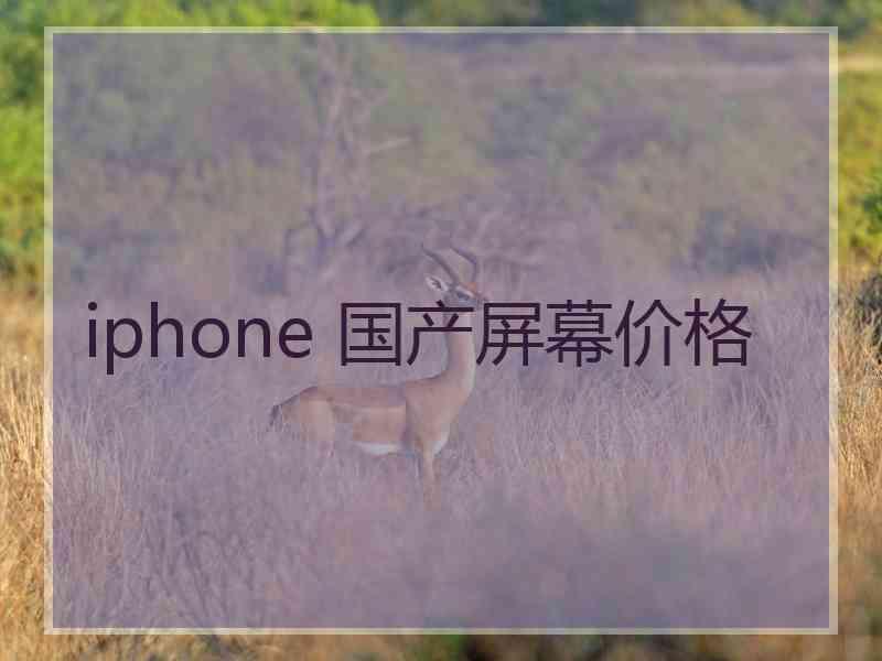 iphone 国产屏幕价格