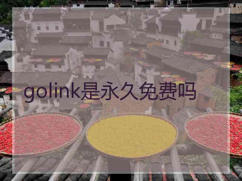 golink是永久免费吗