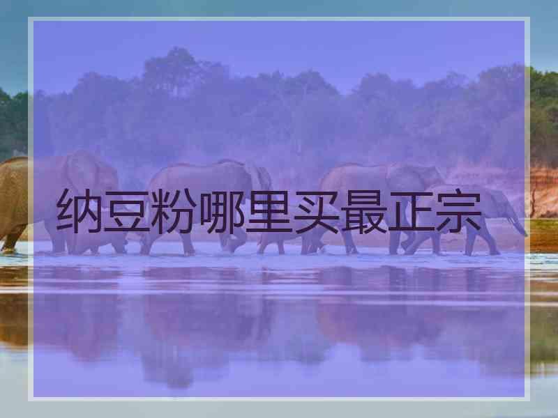 纳豆粉哪里买最正宗