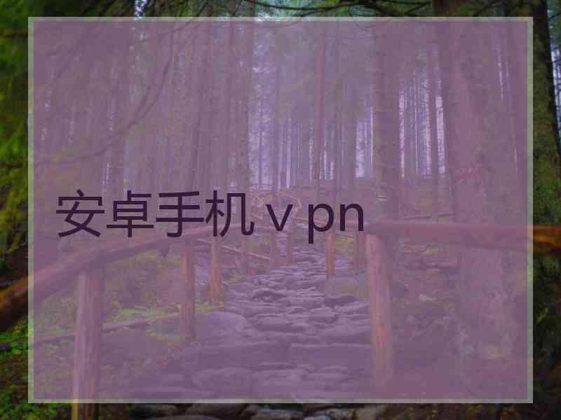 安卓手机ⅴpn