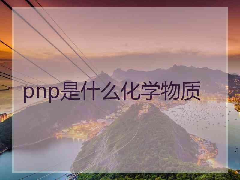 pnp是什么化学物质