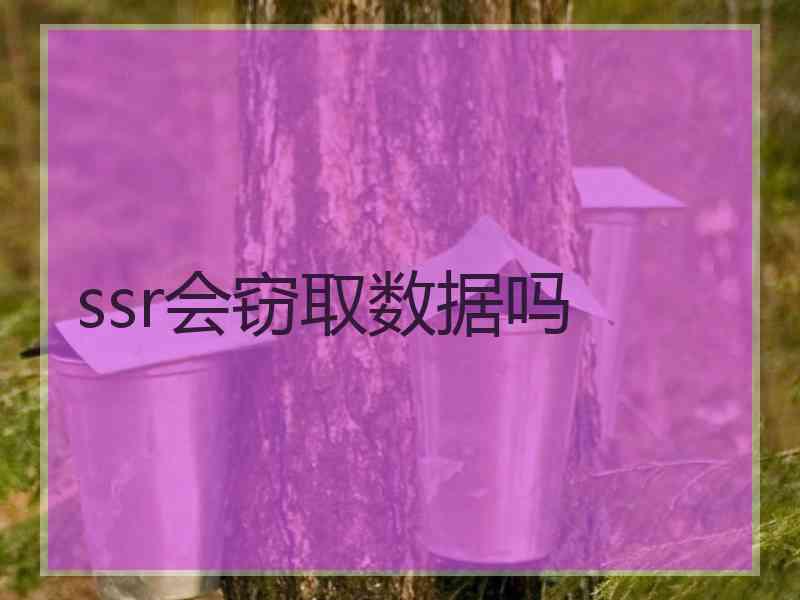 ssr会窃取数据吗