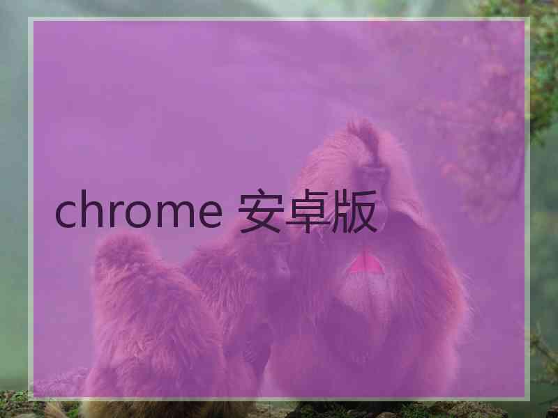 chrome 安卓版