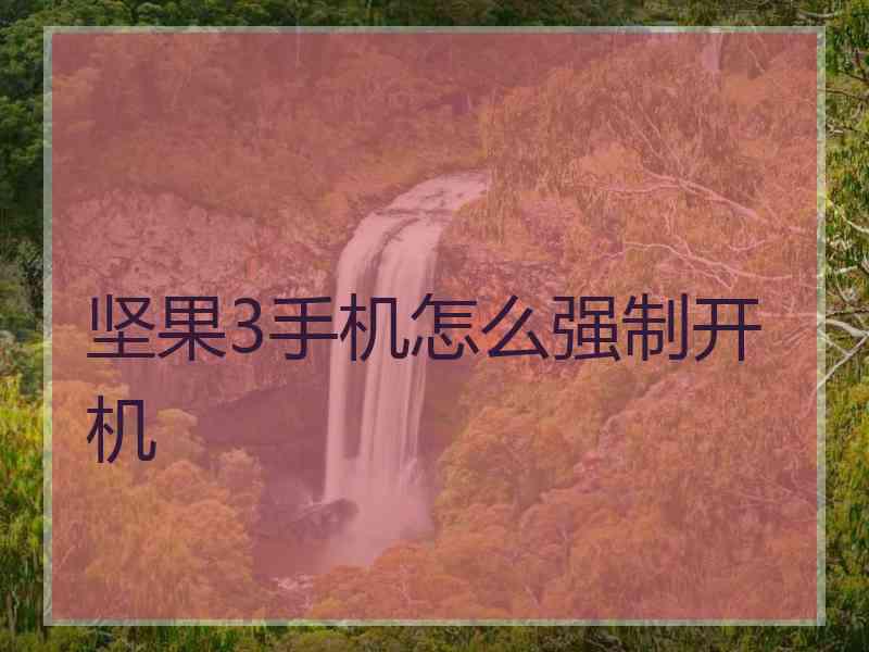 坚果3手机怎么强制开机