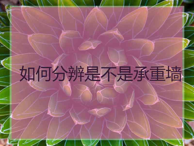 如何分辨是不是承重墙