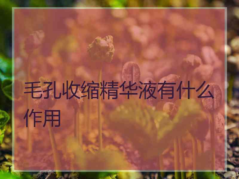 毛孔收缩精华液有什么作用