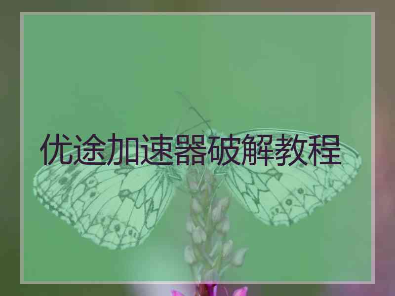 优途加速器破解教程