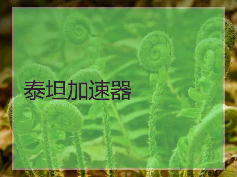 泰坦加速器