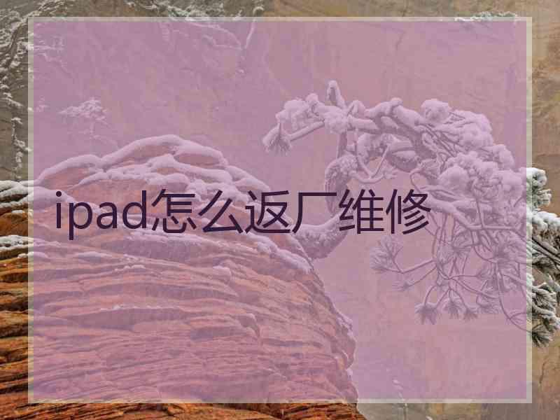 ipad怎么返厂维修