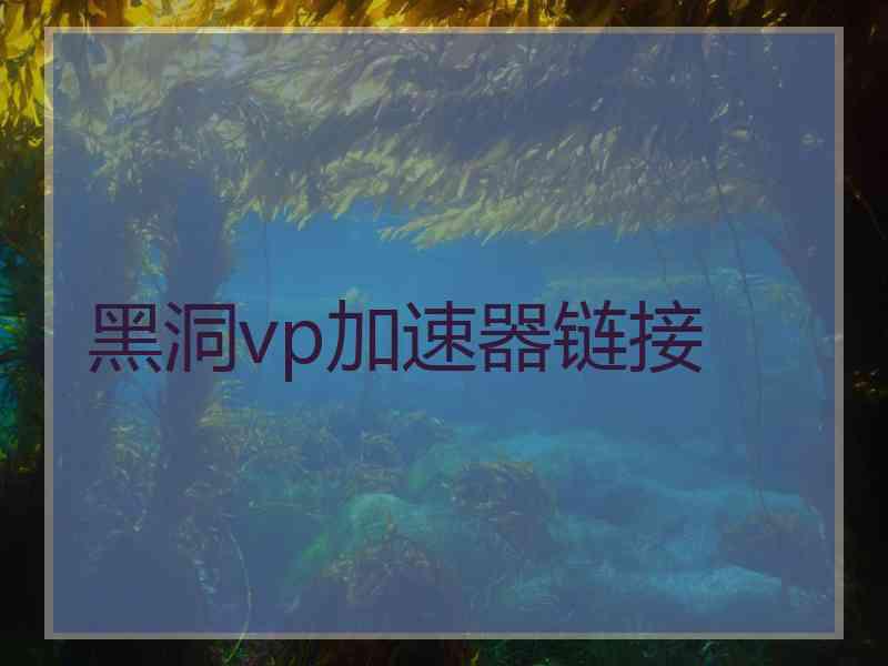 黑洞vp加速器链接