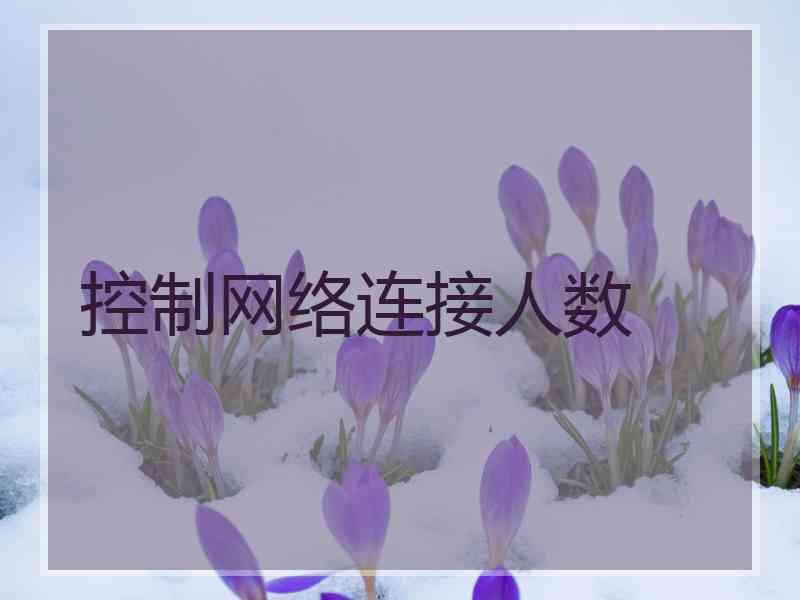 控制网络连接人数