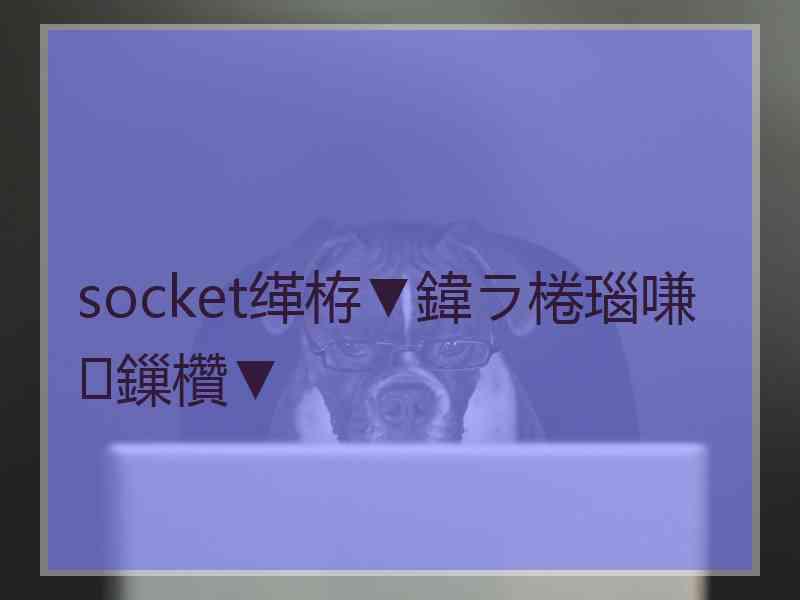 socket缂栫▼鍏ラ棬瑙嗛鏁欑▼