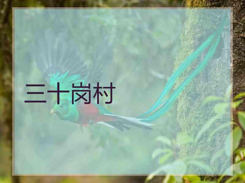 三十岗村