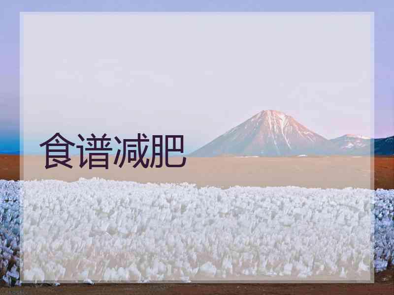 食谱减肥