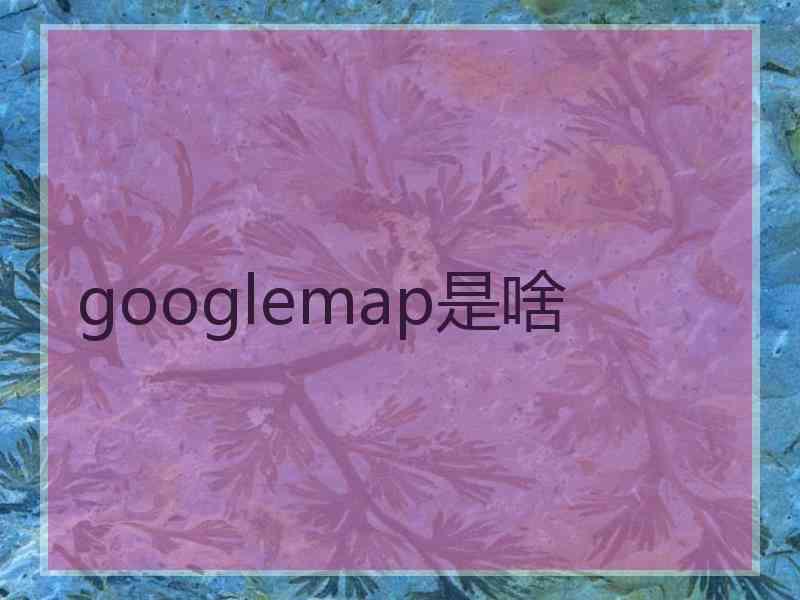 googlemap是啥