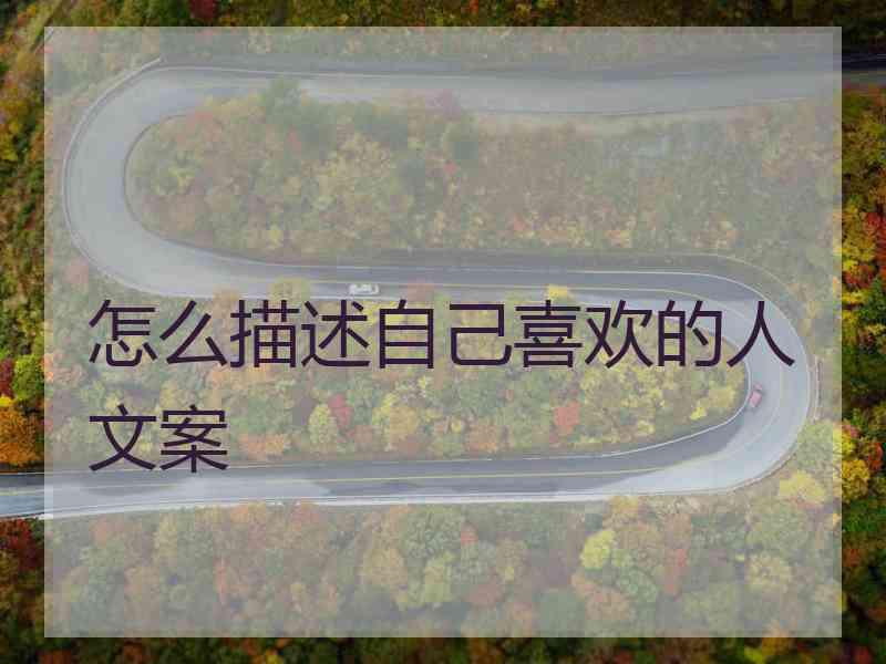 怎么描述自己喜欢的人文案