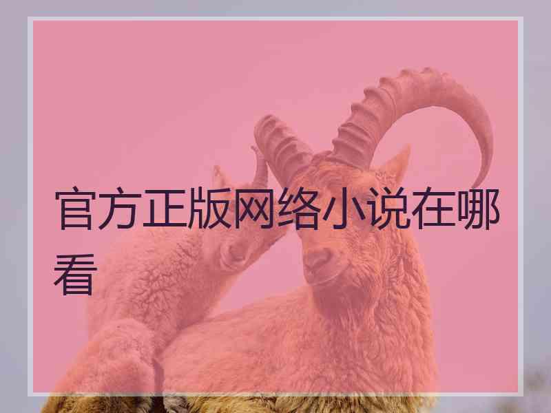 官方正版网络小说在哪看