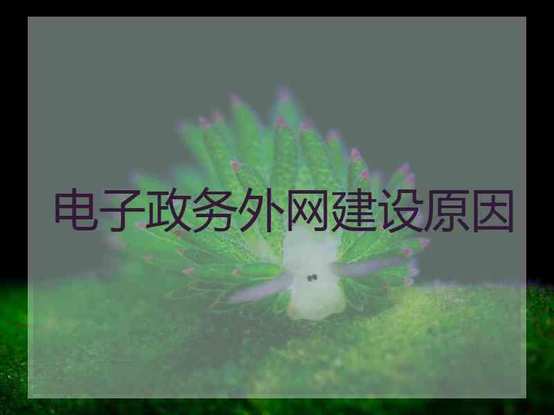 电子政务外网建设原因