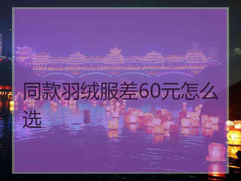 同款羽绒服差60元怎么选