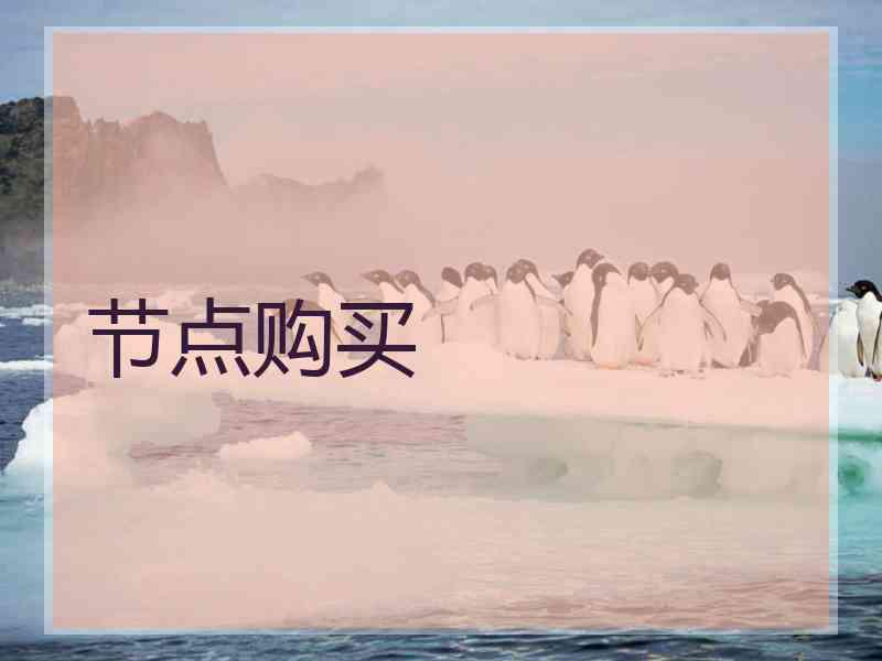 节点购买