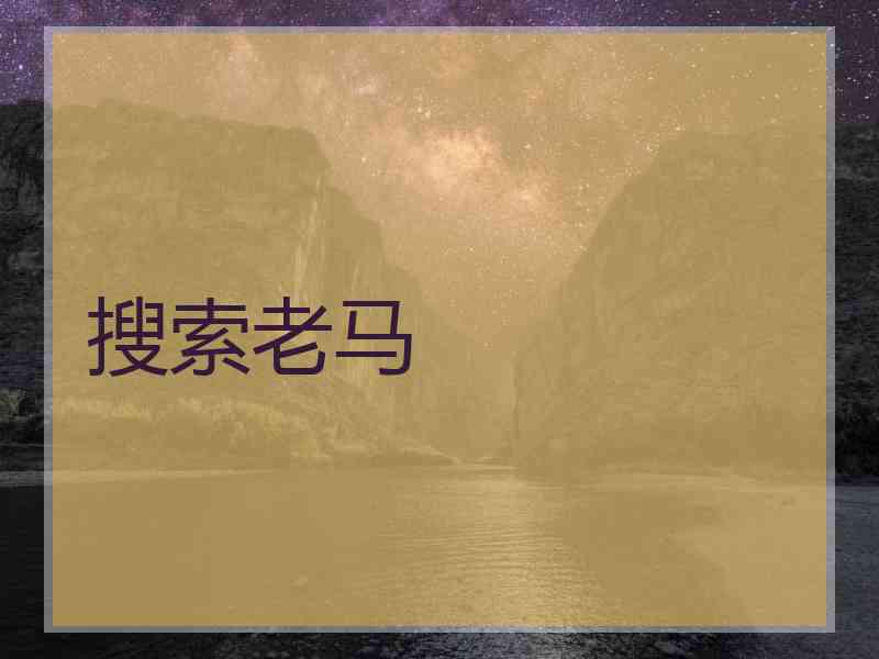 搜索老马