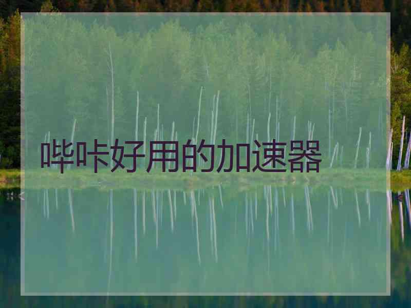 哔咔好用的加速器