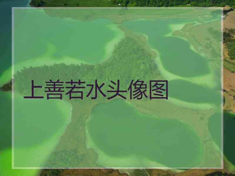 上善若水头像图