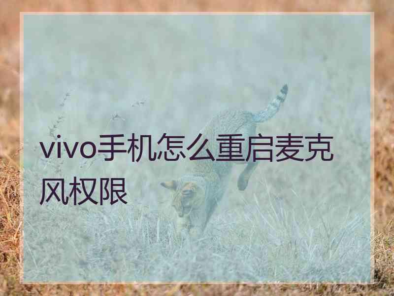 vivo手机怎么重启麦克风权限