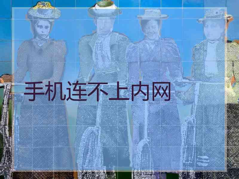 手机连不上内网