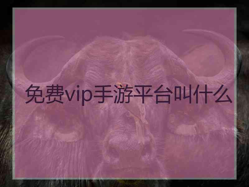 免费vip手游平台叫什么
