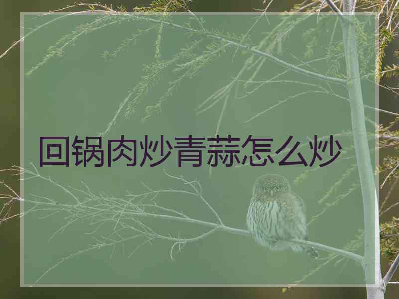 回锅肉炒青蒜怎么炒