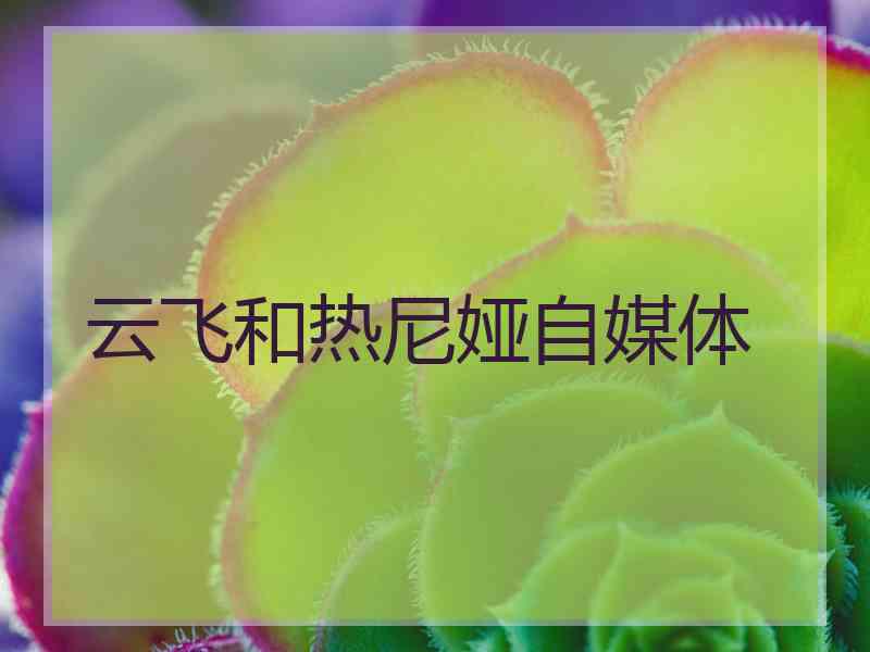 云飞和热尼娅自媒体