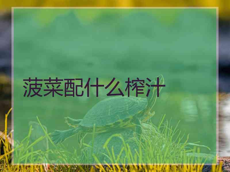 菠菜配什么榨汁