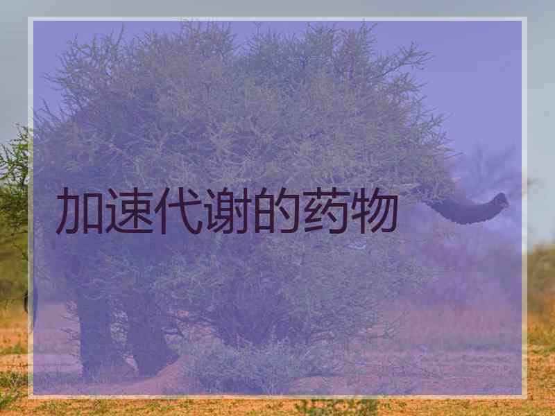 加速代谢的药物