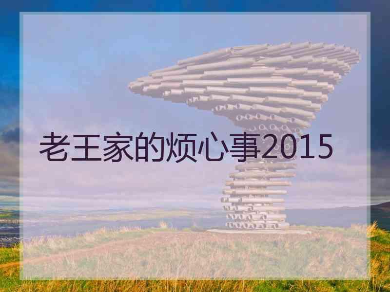 老王家的烦心事2015
