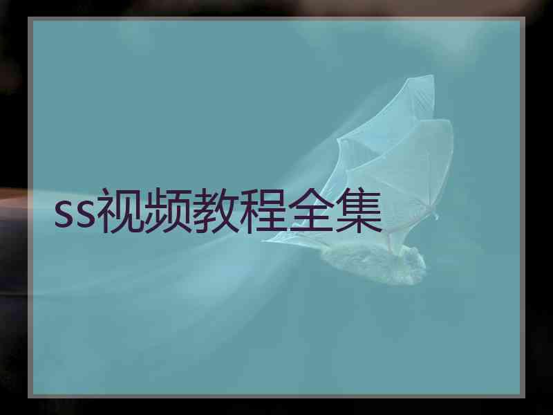 ss视频教程全集
