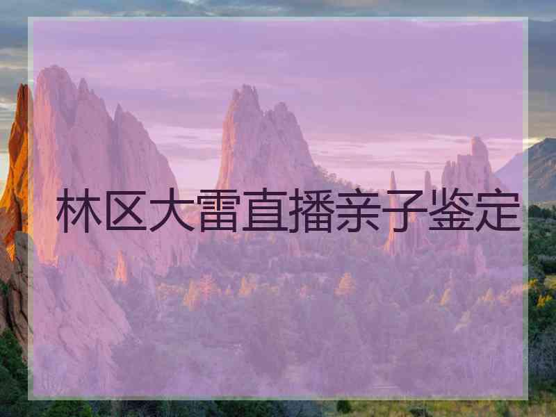 林区大雷直播亲子鉴定