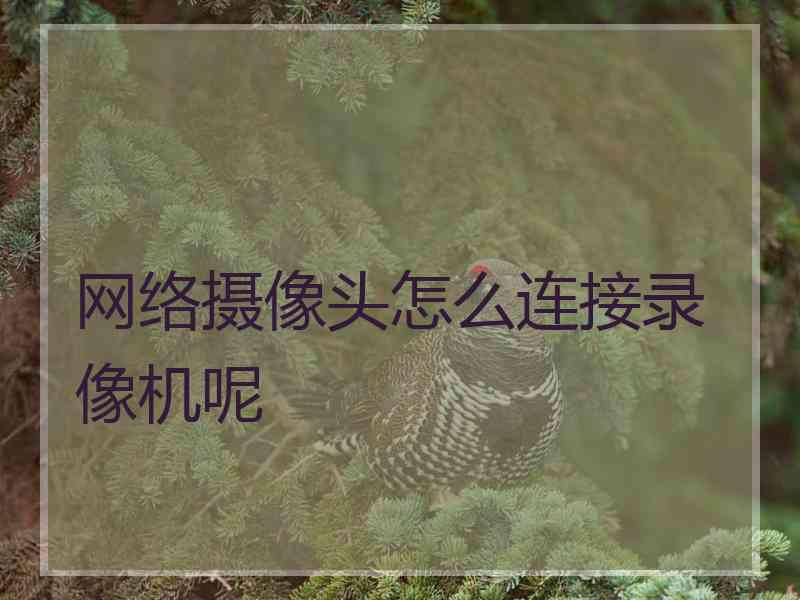 网络摄像头怎么连接录像机呢