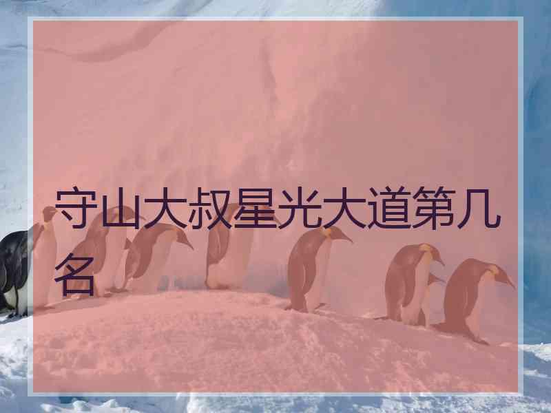 守山大叔星光大道第几名