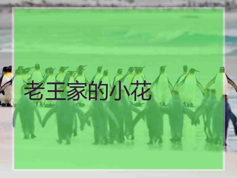 老王家的小花