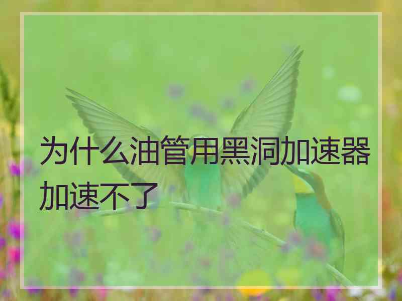 为什么油管用黑洞加速器加速不了