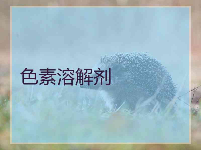 色素溶解剂