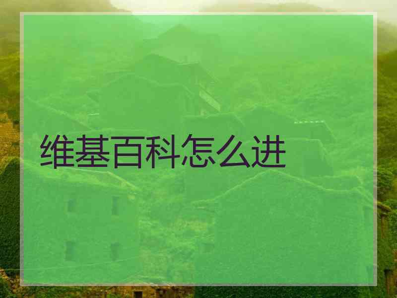 维基百科怎么进