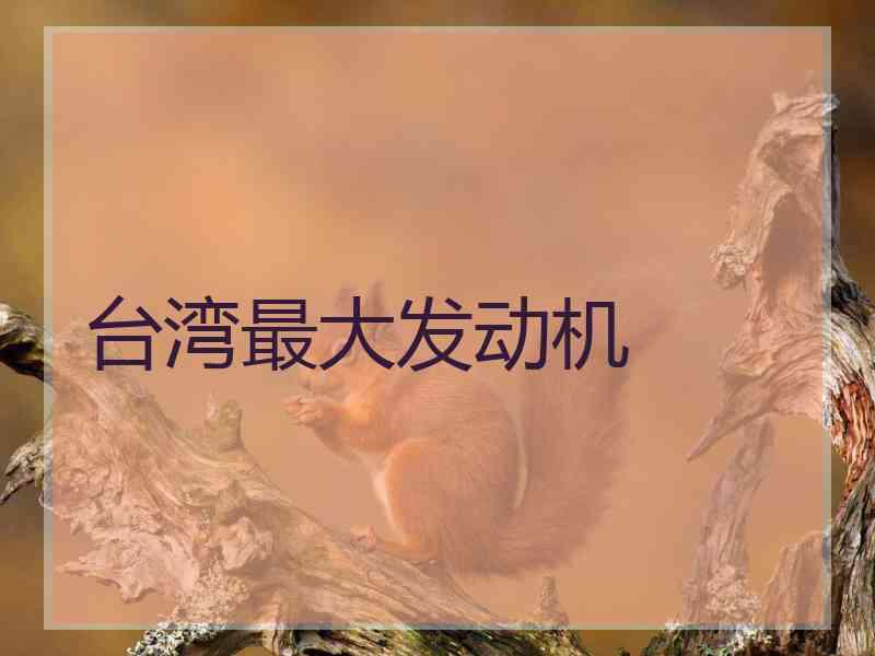 台湾最大发动机