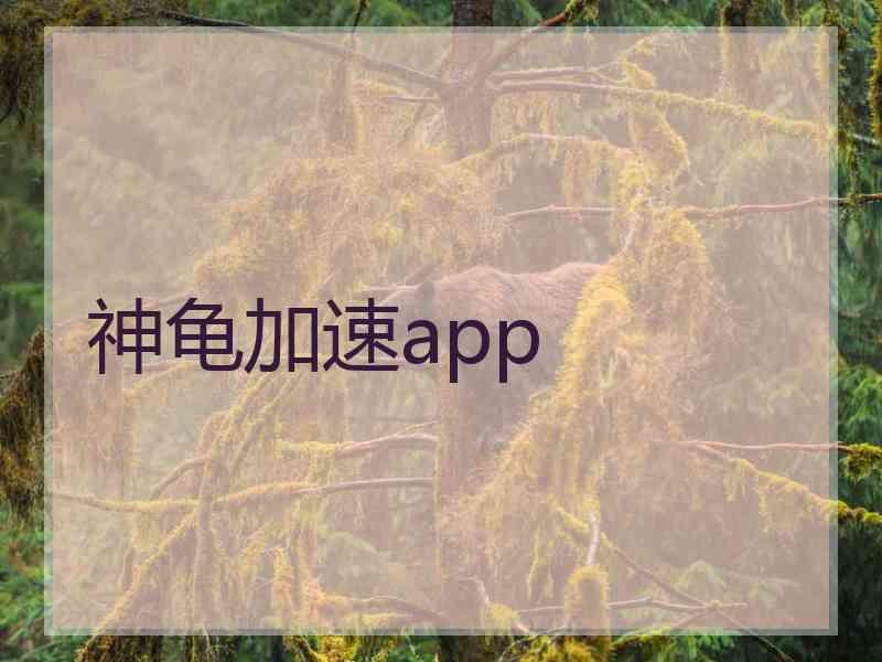 神龟加速app