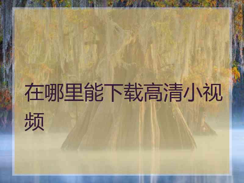 在哪里能下载高清小视频