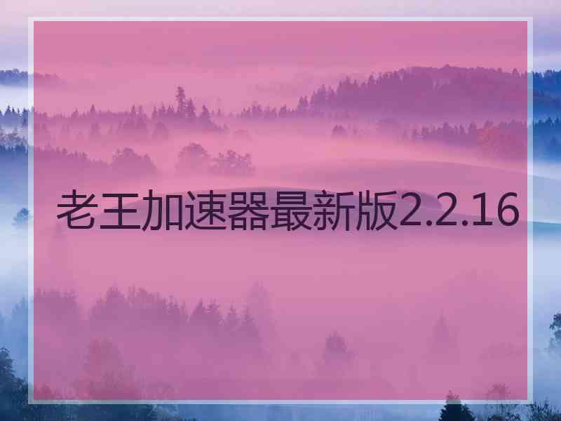 老王加速器最新版2.2.16