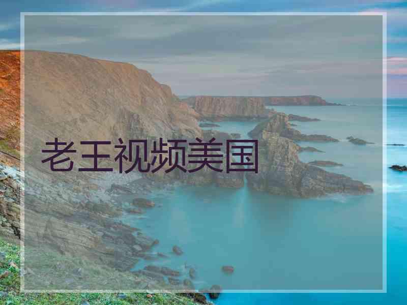 老王视频美国