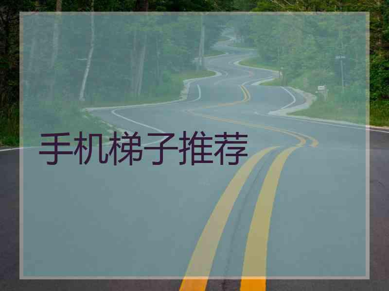 手机梯子推荐