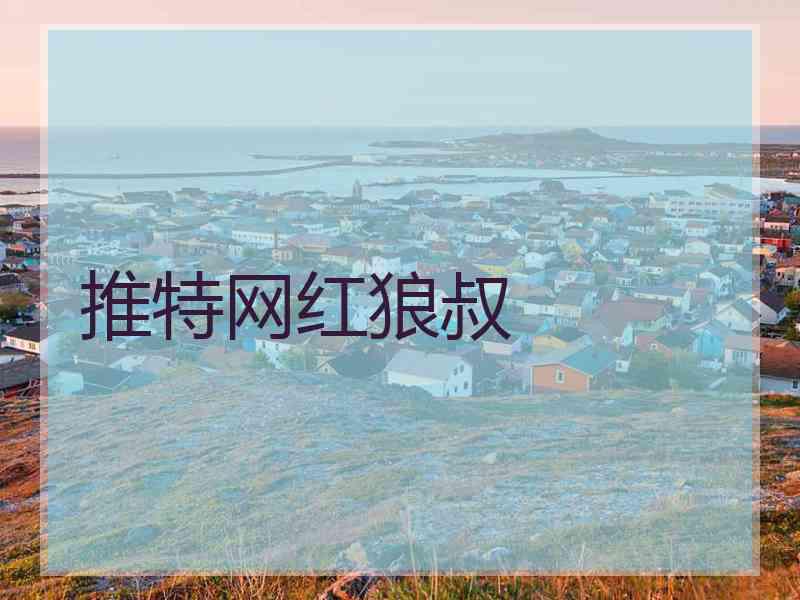 推特网红狼叔